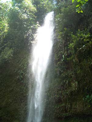 waterfall amazonian jungle